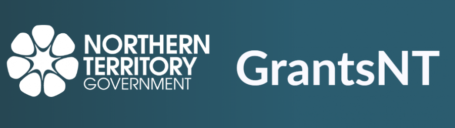 Digital Partnerships Program grants now open | Innovation in the ...